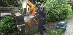 画像：夢が打ち砕かれた庭