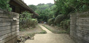画像：夢が打ち砕かれた庭