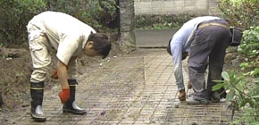 画像：夢が打ち砕かれた庭