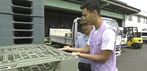 画像：夢が打ち砕かれた庭