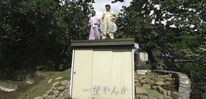 画像：夢が打ち砕かれた庭