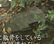 写真：サムネイル