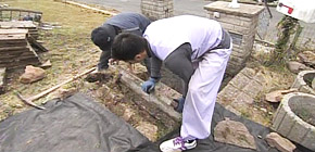 画像：ご近所から注意される庭（解決編）