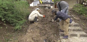 画像：ご近所から注意される庭（解決編）