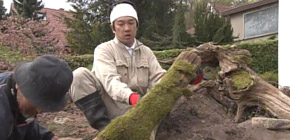 画像：ご近所から注意される庭（解決編）