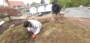 画像：ご近所から注意される庭（解決編）