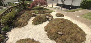 画像：ご近所から注意される庭（解決編）