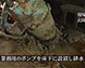 写真：サムネイル