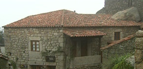 画像：岩をまとったヤドカリの家