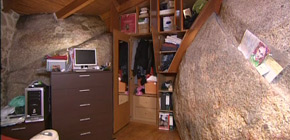画像：岩をまとったヤドカリの家
