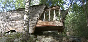 画像：森に潜む虫の家