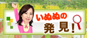 いぬぬの発見！