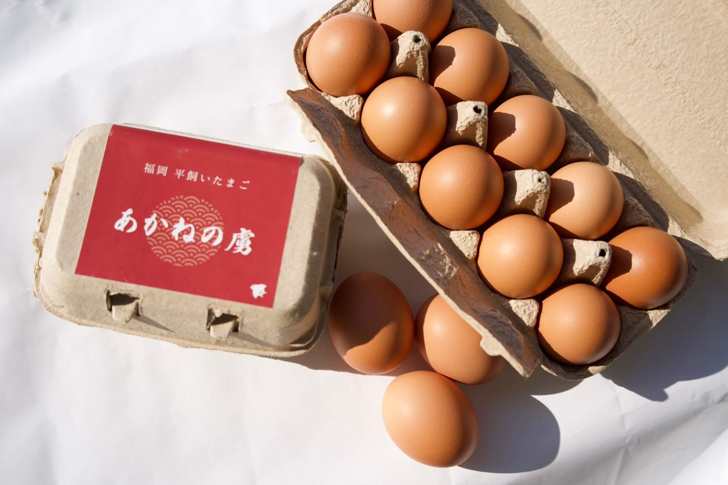 DAIGOも台所」でも登場！平飼いの鶏から生まれる濃厚で新鮮な卵に