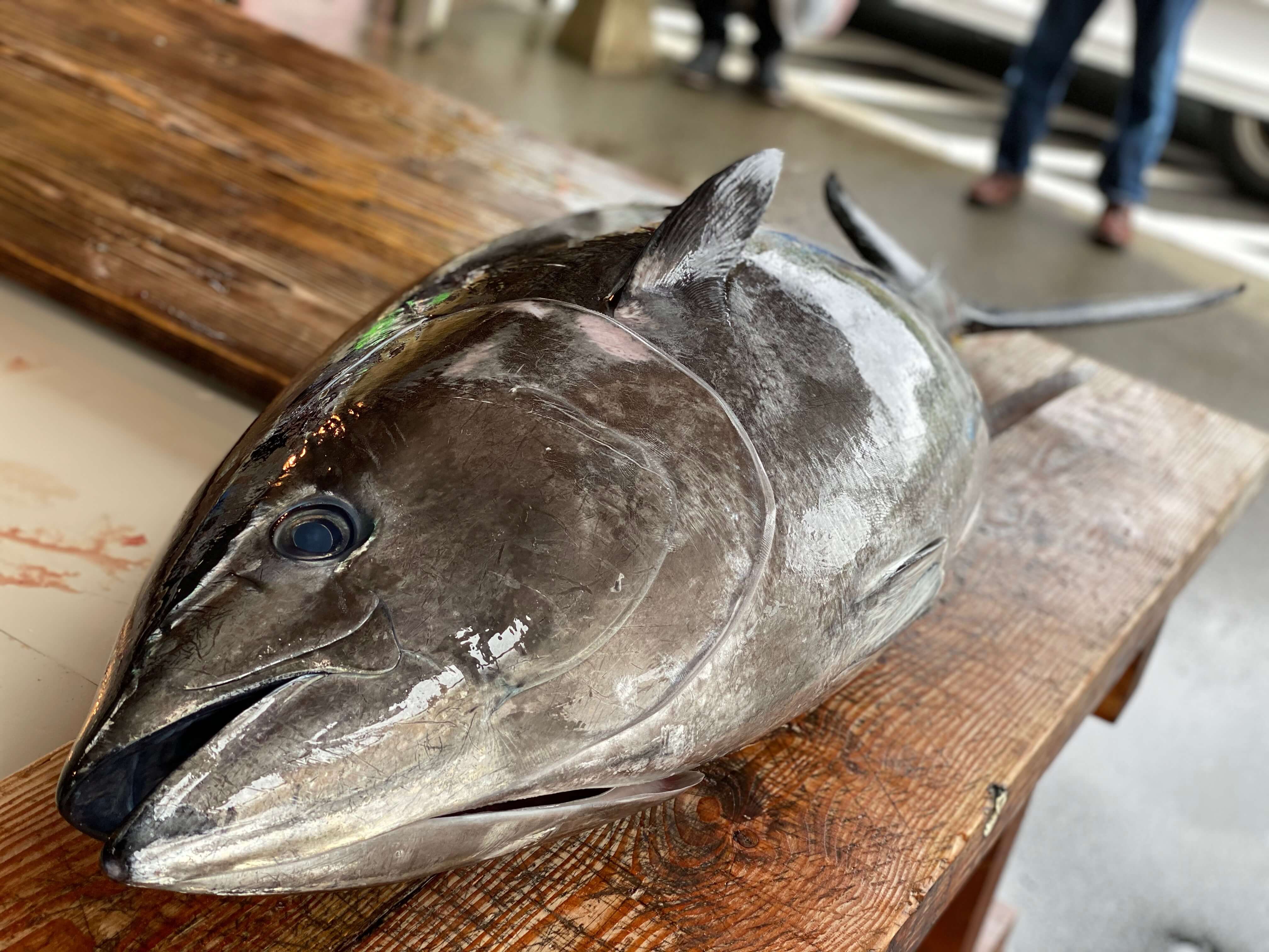 鮪 おつまみまぐろ 和彩逸品 ひとくちサイズの ツナ マグロ珍味