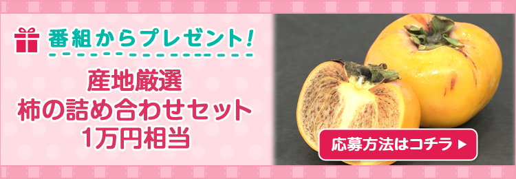 DAIGOも台所プレゼント
