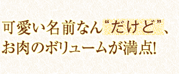 可愛い名前なん“だけど”、お肉のボリュームが満点！