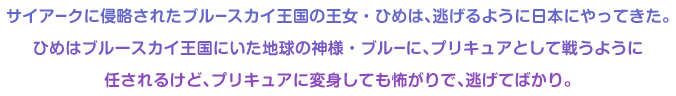 サイアークに侵略されたブルースカイ王国の王女・ひめは、逃げるように日本にやってきた。ひめはブルースカイ王国にいた地球の神様・ブルーに、プリキュアとして戦うように任されるけど、プリキュアに変身しても怖がりで、逃げてばかり。