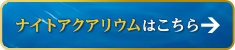 iCgANAE͂