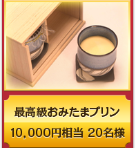 最高級おみたまプリン ２個入り（桐箱入り）10,000円相当２０名様