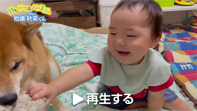写真：アーカイブ動画のサムネイル