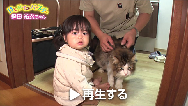 写真：アーカイブ動画のサムネイル