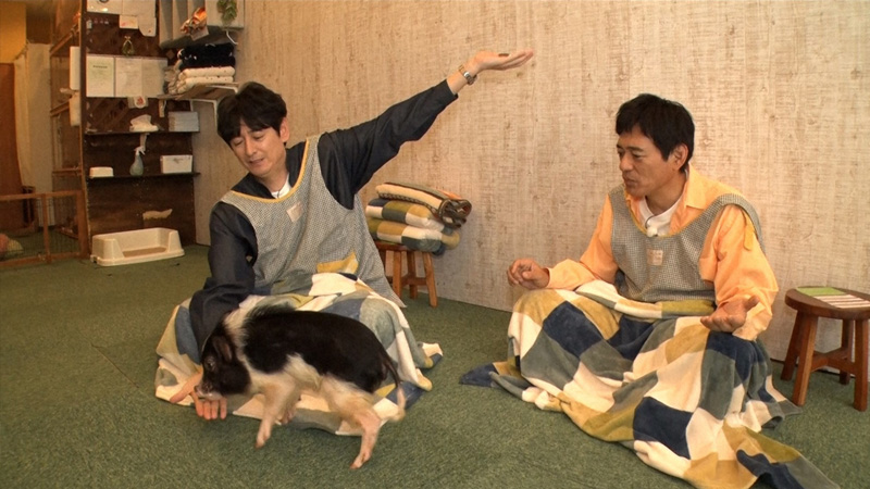 写真