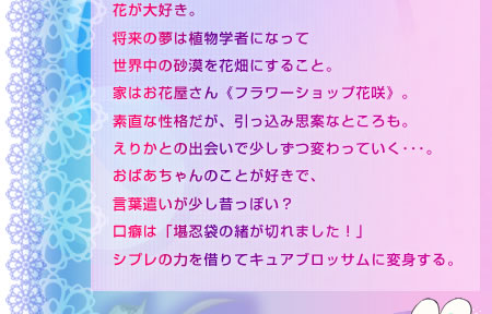 朝日放送テレビ ハートキャッチプリキュア 朝日放送テレビ ハートキャッチプリキュア