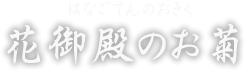 花御殿のお菊　はなごてんのおきく