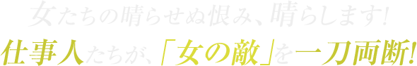 女たちの晴らせぬ恨み、晴らします！仕事人たちが、「女の敵」を一刀両断！