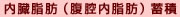 内臓脂肪（腹腔内脂肪）蓄積