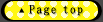 ▲Page top