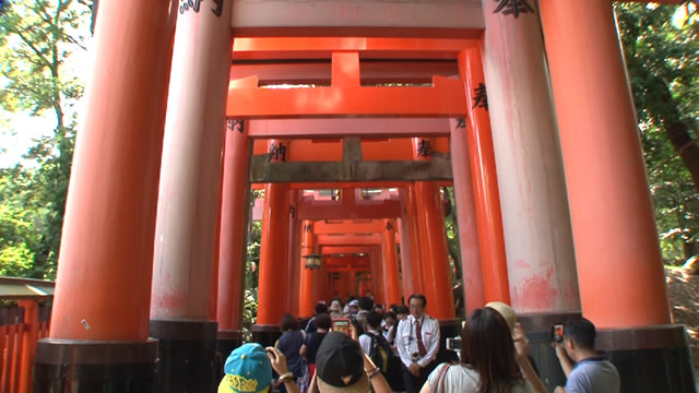 旅の写真