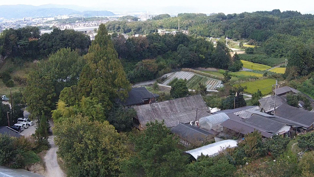 旅の写真