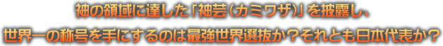番組紹介文
