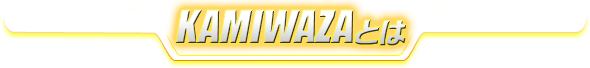 KAMIWAZAとは