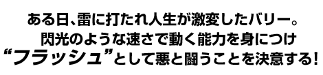 ある日、雷に打たれ人生が激変したバリー。閃光のような速さで動く能力を身につけ“フラッシュ”として悪と闘うことを決意する！