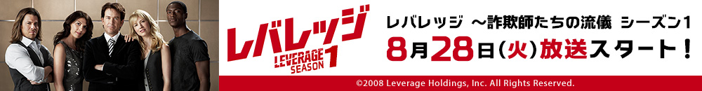 レバレッジ ～詐欺師たちの流儀 シーズン1