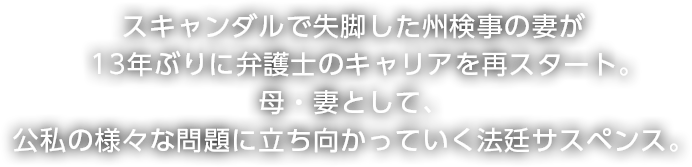 スキャンダルで失脚した州検事の妻が13年ぶりに弁護士のキャリアを再スタート。母・妻として、公私の様々な問題に立ち向かっていく法廷サスペンス。