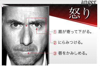 【anger 怒り】1）眉が寄って下がる。2）にらみつける。3）唇をかみしめる。