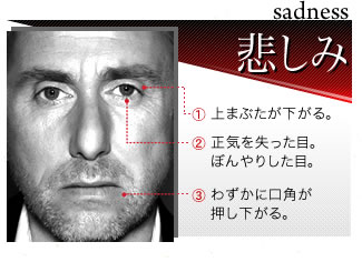 【sadness 悲しみ】1）上まぶたが下がる。2）正気を失った目。ぼんやりした目。3）わずかに口角が押し下がる。