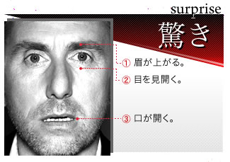【surprise 驚き】1）眉が上がる。2）目を見開く。3）口が開く。