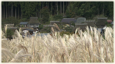 月曜日の写真