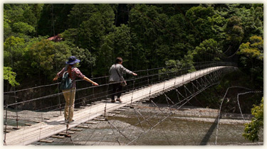 月曜日の写真