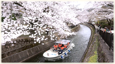 月曜日の写真