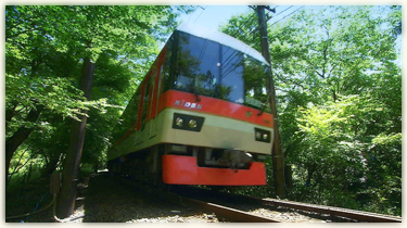 月曜日の写真