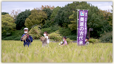 月曜日の写真