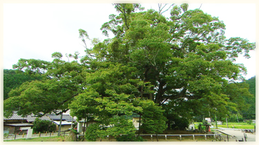 月曜日の写真