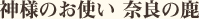 神様のお使い 奈良の鹿