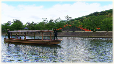 水曜日の写真