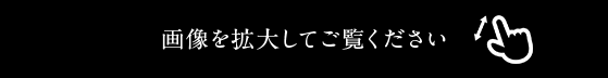 画像を拡大してご覧ください